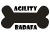 Agility Badafa